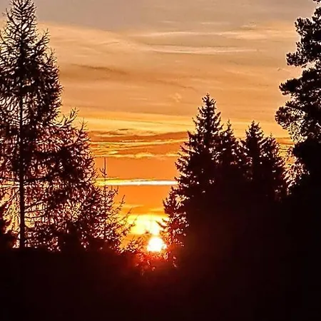 Шале Siedls Enzian