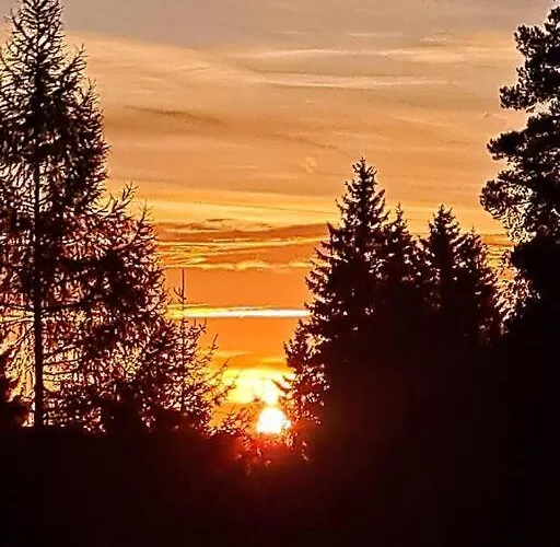 Chalet Siedls Enzian