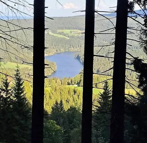 Siedls Enzian * Hirschegg (Styria)